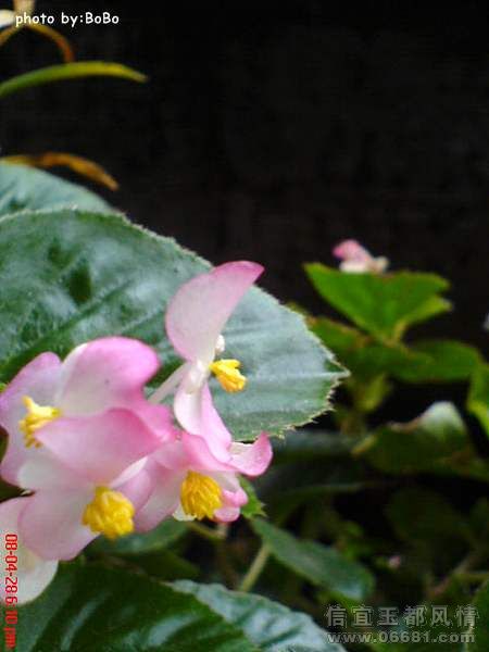 DSC04058.jpg