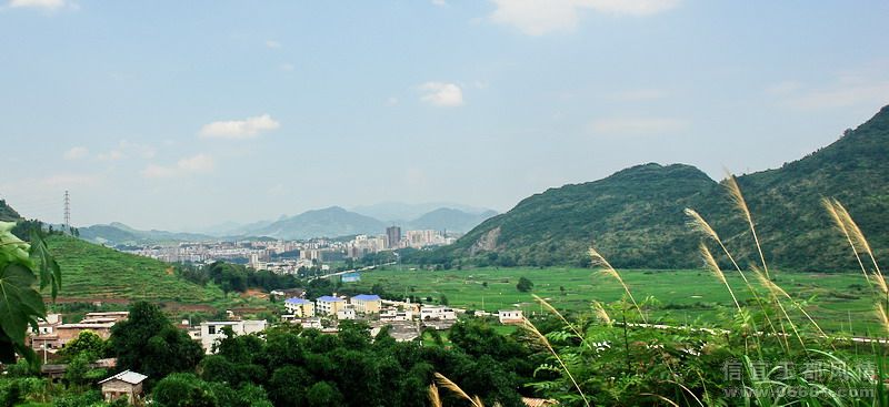 DSC06402.jpg