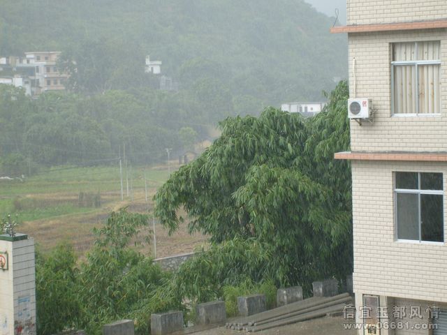 S6302750.JPG