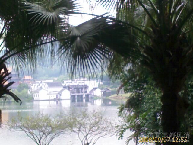 IMAGE_00666.jpg