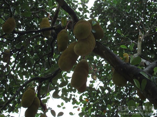 nEO_IMG_DSC01482.jpg
