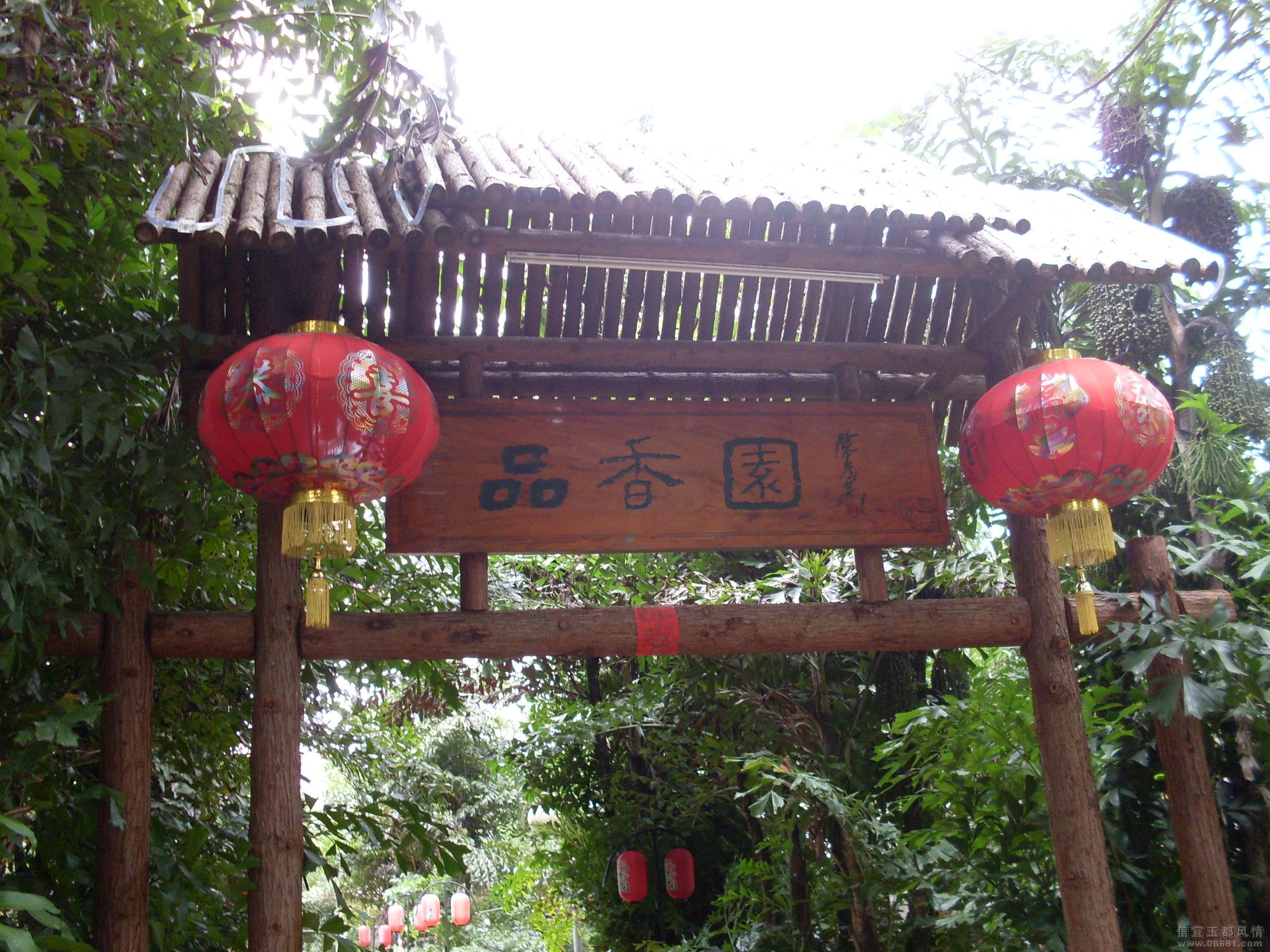 SDC11335.JPG
