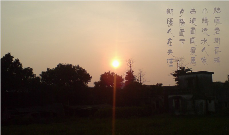 PICer20089181114.jpg