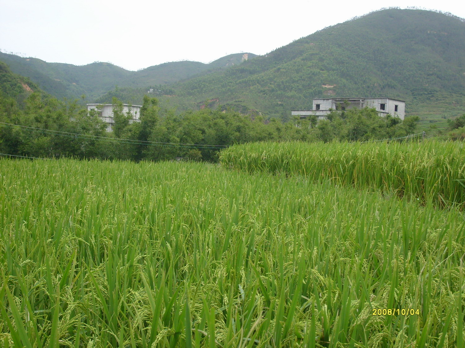 S7300773.JPG
