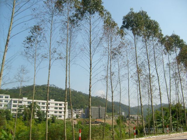 S6304762.JPG