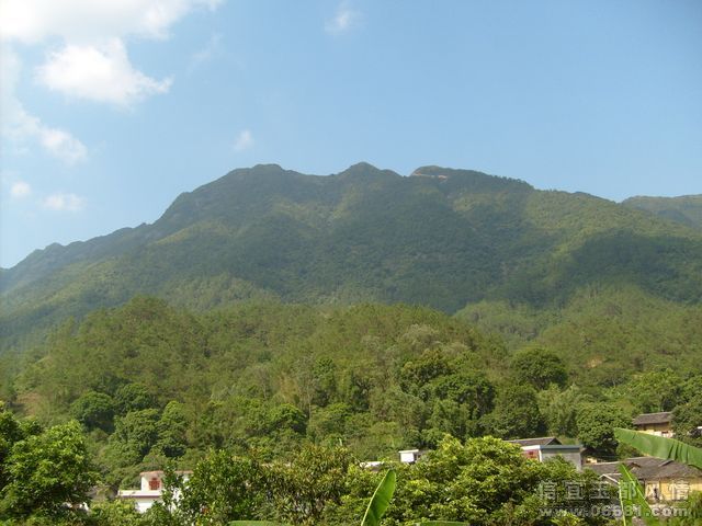 S6304873.JPG