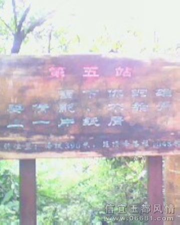 IMG0086A.jpg
