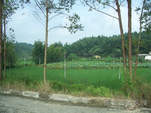 101_4028.jpg