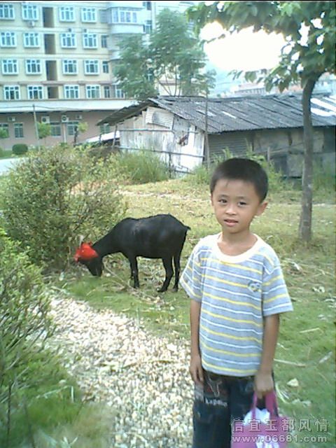 IMG0266A.jpg