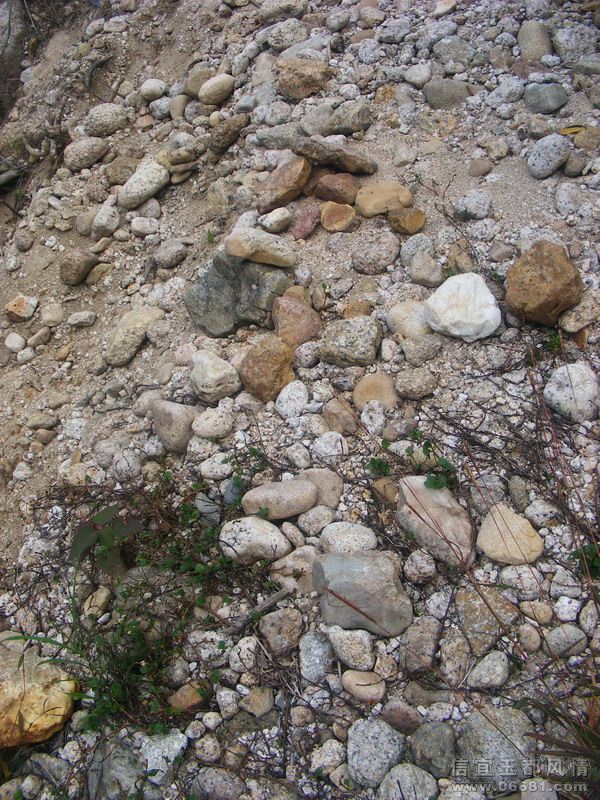 DSCF5700.jpg