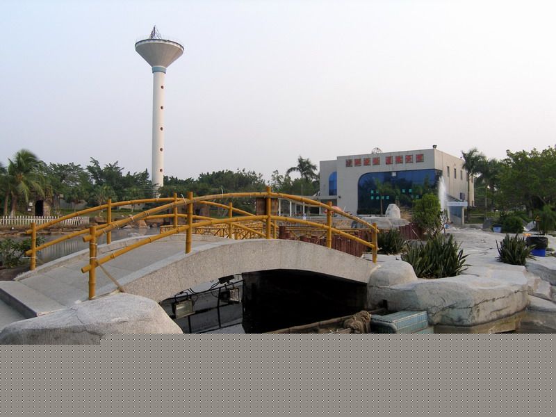 18.JPG