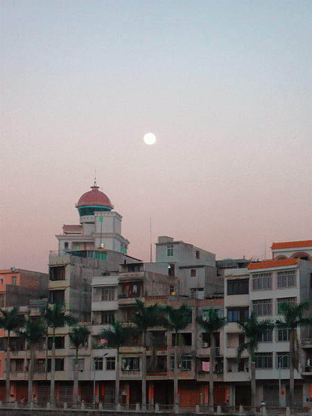 P1020189.jpg