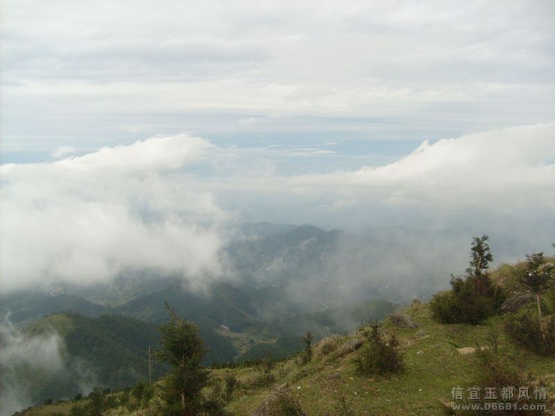 S6300870.JPG