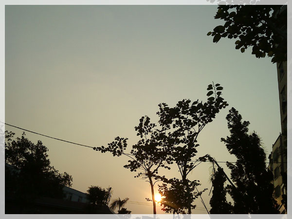 DSC00155.jpg