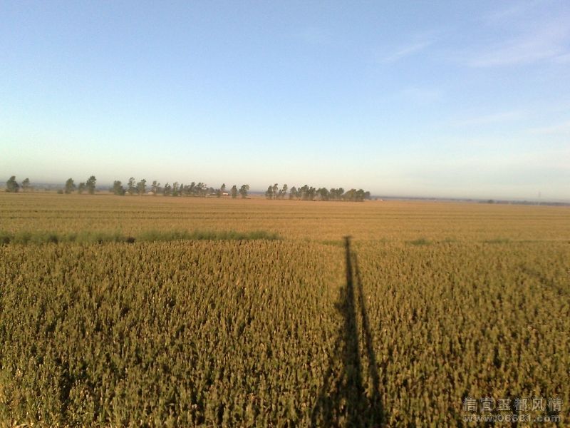 20080916223.jpg