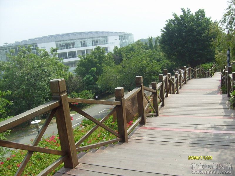 S7301445.JPG