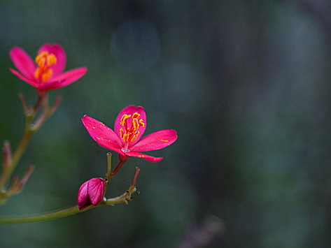 20081124_dce408026d8115aae1f5ye1xN2B7FrUH.jpg