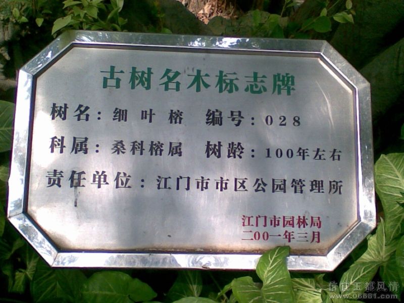 ͼ��053.jpg