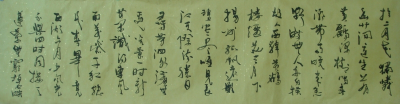 DSC01191.JPG