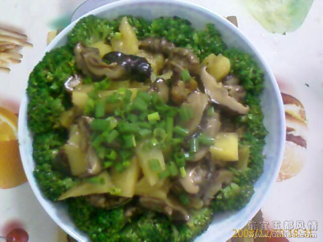 IMAGE_01135.jpg