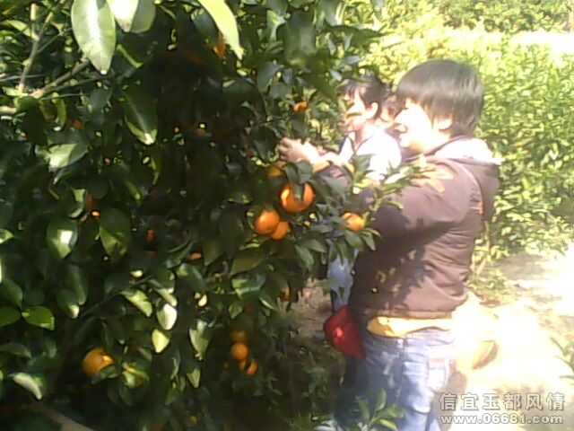 IMG0022A.jpg