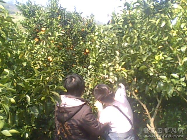 IMG0027A.jpg
