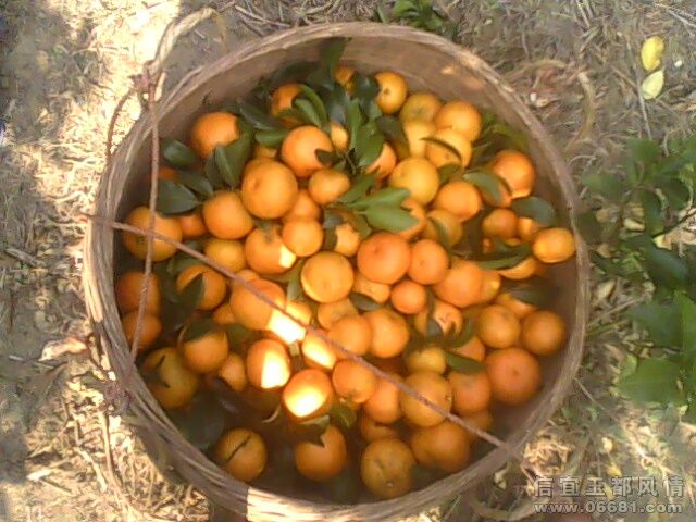 IMG0025A.jpg