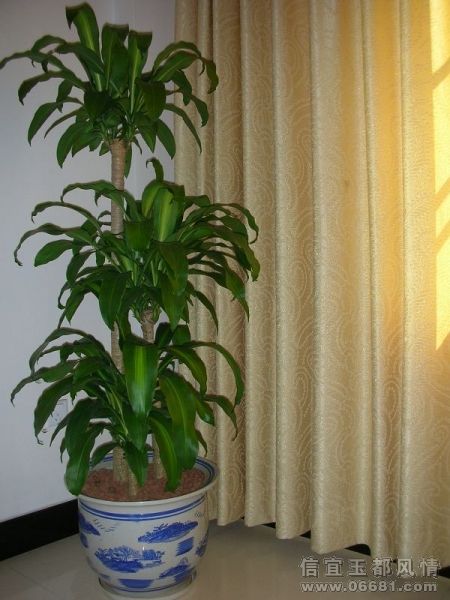 DSCN6348.jpg