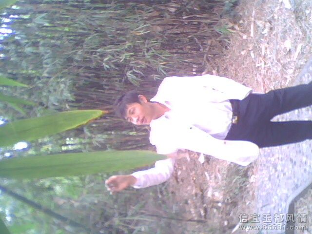 IMG0022A.jpg