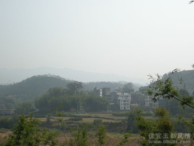 DSCN4253.jpg