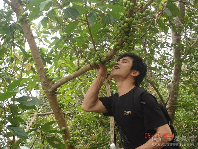 DSC04173.JPG