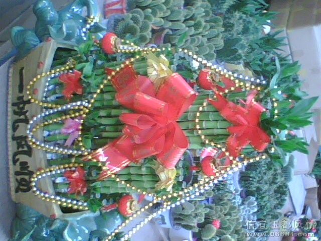 IMG0376A.jpg