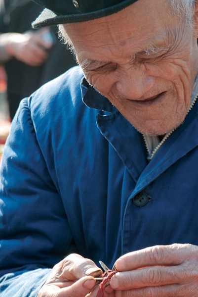 2 (1).JPG