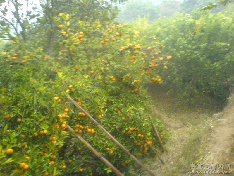02.JPG
