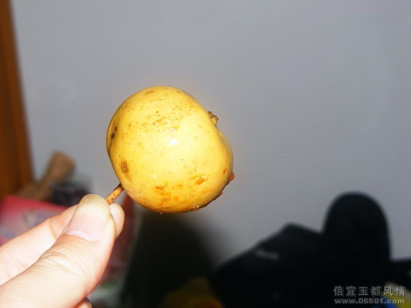 DSCF1101.JPG