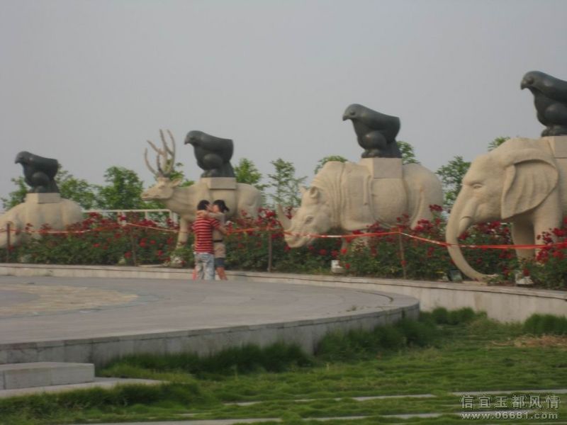 ������С IMG_3376.JPG
