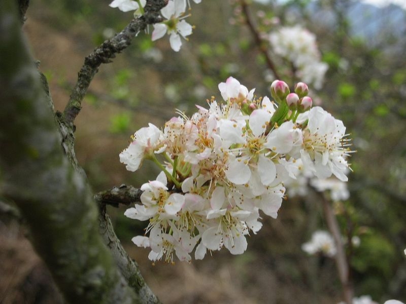 DSCN6655.jpg