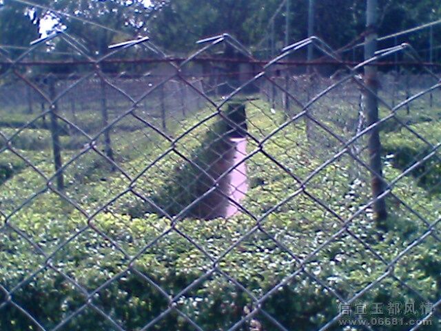 IMG0636A.jpg