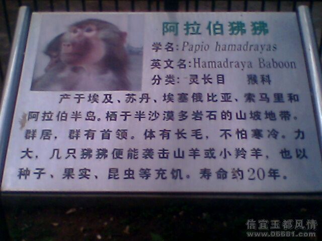 IMG0739A.jpg