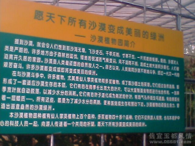 IMG0781A.jpg