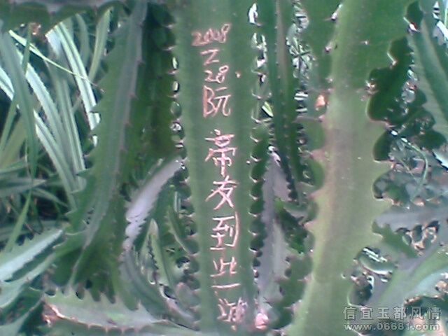 ��������д