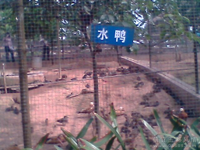 IMG0679A.jpg