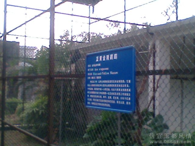 IMG0735A.jpg