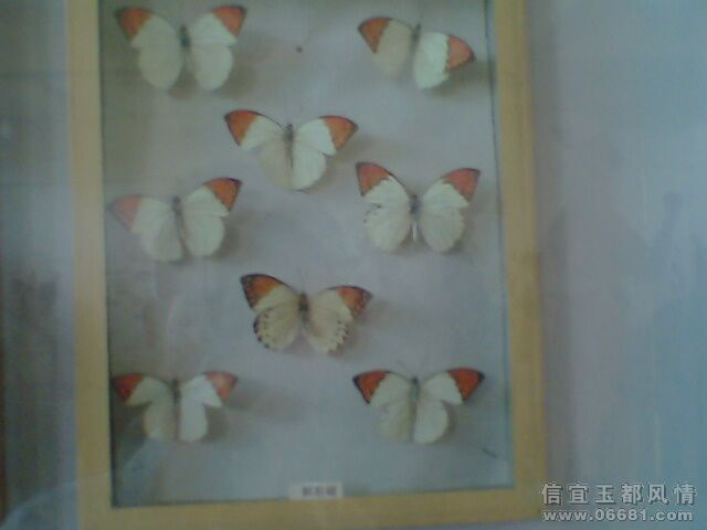 IMG0881A.jpg