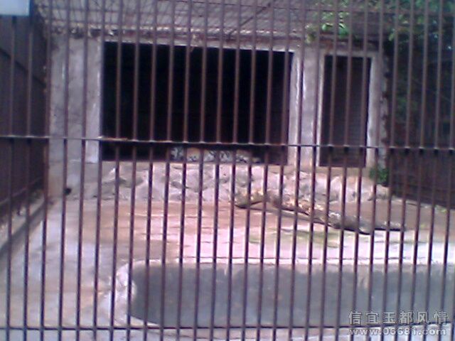 IMG0754A.jpg