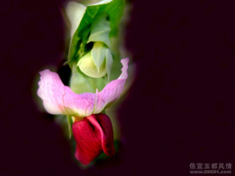 DSC04273.JPG