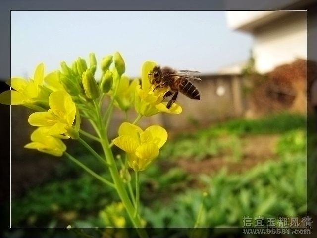 ��Ƭ 120.jpg