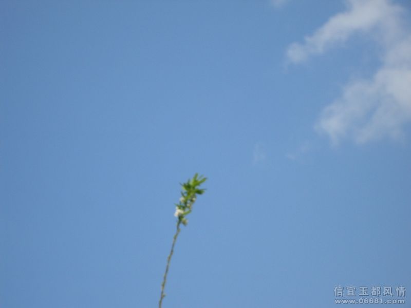 SDC13734.JPG