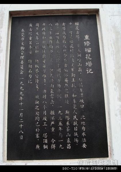 nEO_IMG_DSC05205.jpg
