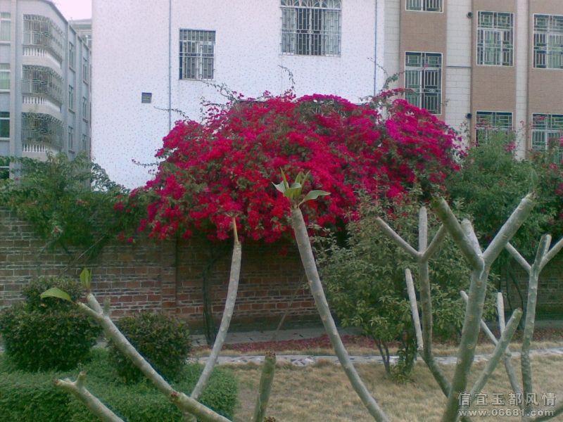 20090227(012).jpg